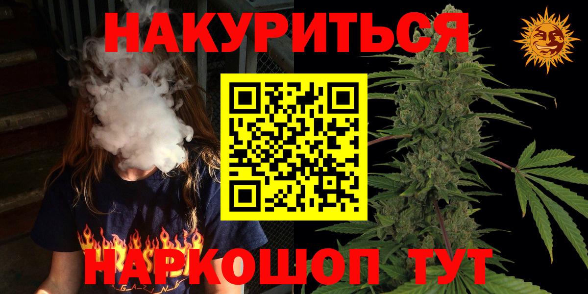 Каннабис план Кудрово